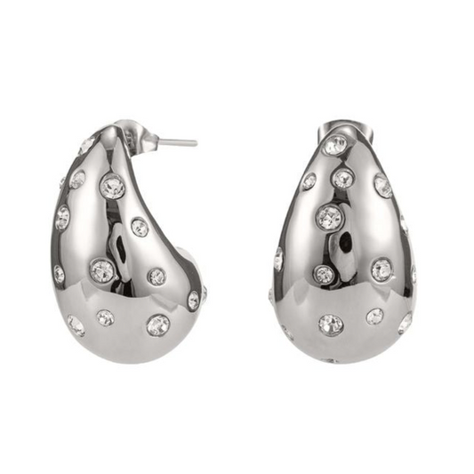 Darlen Silver - Earrings